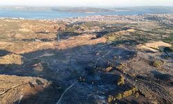 Çanakkale'deki yangında yanan alanlar dron ile görüntülendi