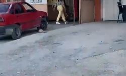 Çekiçli kadın öfkesini böyle kustu