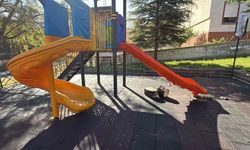 Çocuk parkındaki kaydıraklara yanık yağ döktüler