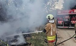 Defne'de sazlık alan yangını büyümeden söndürüldü