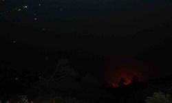 Denizli'deki orman yangını gece saatlerinde rüzgarın etkisiyle tekrardan etkili oldu
