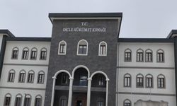 Dicle'de 2026 yılın ilk 6 ayında 3 bin 527 kök kenevir ele geçirildi