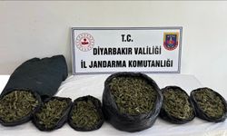 Diyarbakır'da 41 kilo esrar ele geçirildi, 18 şüpheliye işlem yapıldı