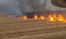 Diyarbakır'da 5 bin dönüm arazi alevlere teslim oldu