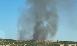 Diyarbakır'da ağaçlık alanda yangın