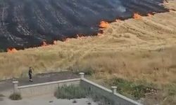 Elazığ'da 19 yangın kontrol altına alınarak söndürüldü