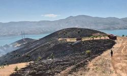 Elazığ'da çıkan arazi yangını söndürüldü