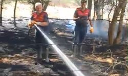 Elazığ'da örtü yangını