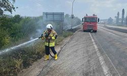 Erzin'de otluk alan yangını