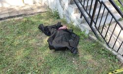 Eskişehir'de 4'üncü kattan düşen yaşlı kadın hayatını kaybetti