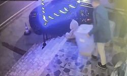 İlginç hırsızlık: Petshop önündeki mama kutusunu çaldı