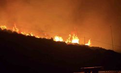 İzmir'de makilik alanda yangın