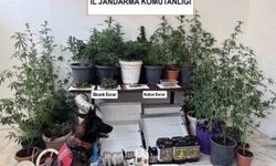 Jandarma ekiplerinin uyuşturucu ve sahte alkol denetimleri sürüyor