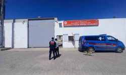 Kocaeli'de aranan 2 hükümlü JASAT operasyonuyla yakalandı