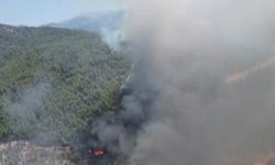 Kuyucak'ta orman yangını
