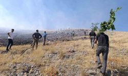 Malatya'da anız yangını
