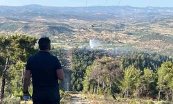 Manisa'da yangında 1.5 hektarlık kızılçam ormanı zarar gördü