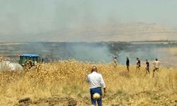Mardin'de anız yangınına havadan ve karadan müdahale ediliyor