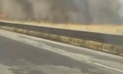 Mardin'de itfaiye aracının çarptığı itfaiye eri hayatını kaybetti
