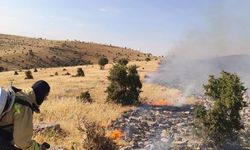 Mardin'de örtü ve anız yangını söndürüldü