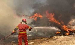 Menteşe'de korkutan araç yangını: Otomobil küle döndü