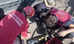 Ordu'da otomobilin egzoz muhafazasına sıkışan yavru kedi kurtarıldı