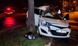 Refüjdeki palmiyeye çarpan otomobilin sürücüsü yaralandı