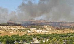 Şanlıurfa'da ormanlık alanda korkutan yangın