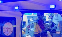 Semt pazarı yolunda kaza: İki kardeş yaralandı