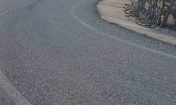 Siirt'te şarampole devrilen kamyonetteki 3 kişi yaralandı