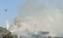 Uşak'ta meşelik alanda çıkan yangına müdahale sürüyor