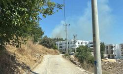 Yerleşim yerlerine yakın makilik alandaki yangın korkuttu