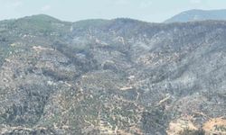 Yeşilden siyaha bürünen alan helikopterden görüntülendi
