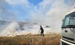 Yol kenarındaki otluk alanda yangın çıktı