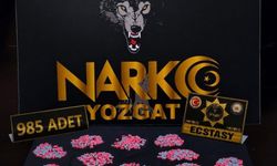 Yozgat'ta 985 adet uyuşturucu hap ele geçirildi