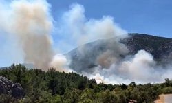 Orman yangınına 12 hava aracı müdahale ediyor