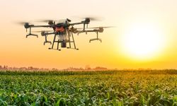 Bursa tarımında drone teknolojisi devreye sokuluyor