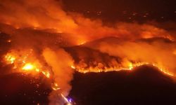 Orman yangınları enerji güvenliğini de tehdit ediyor