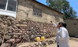 Mimarisi yılanları kendine çekiyor olabilir