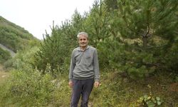 “Burada Yetişmez” diyenlere inat dikti