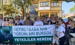 “Kızıl geyik değil, yaşam ihaleye çıkıyor”