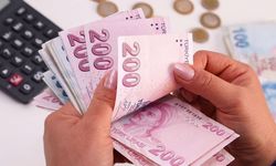 Merkez Bankası'na '42. Madde' çağrısı