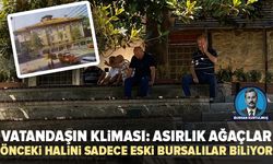 Bursa’da vatandaşın kliması asırlık çınarlar oldu