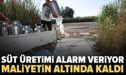 Çiğ süt fiyatı maliyetin altında kaldı: Küçük üretici alarm veriyor