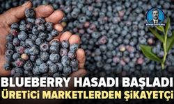 Bursa'da marketlere Blueberry Tepkisi: “Çiftçiyi bitiriyorla