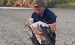 Balçığa saplanan leylek için vatandaş seferber oldu!