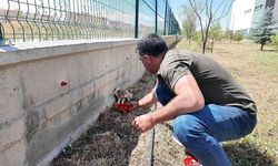 Okul bahçesini sularken buldular! Et verip beslediler