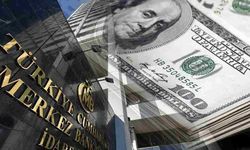 Merkez Bankası rezervleri 164,4 milyar dolara yükseldi