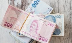 Tarih belli oldu: Vatandaşlık maaşı kimleri kapsayacak?