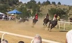 Taşköprü Sarımsak Festivali’nde korkunç kaza: 2 at öldü, jokey yaralandı